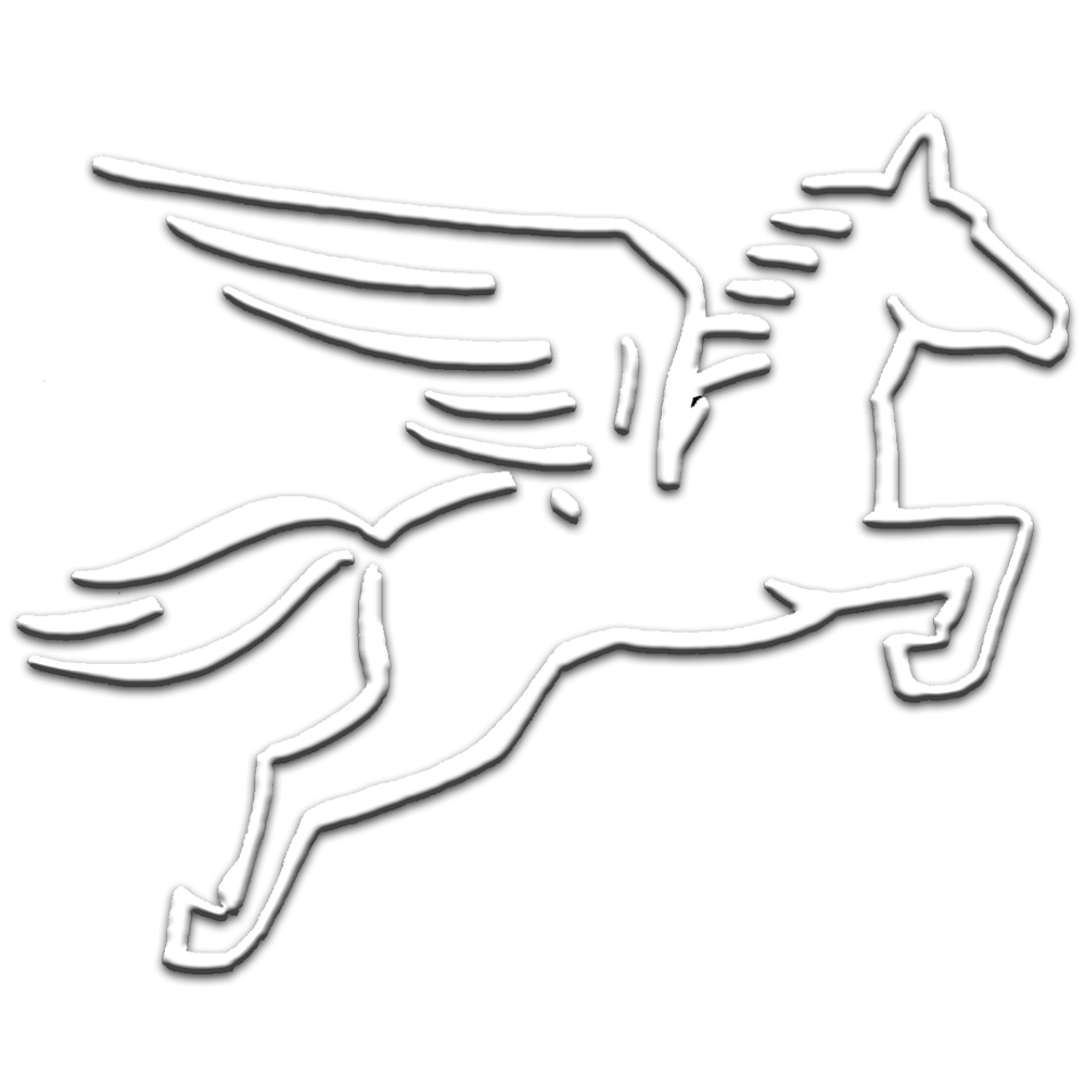 Pegasus Pro