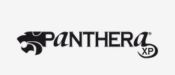 Panthera Ink