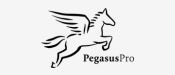 Pegasus Pro